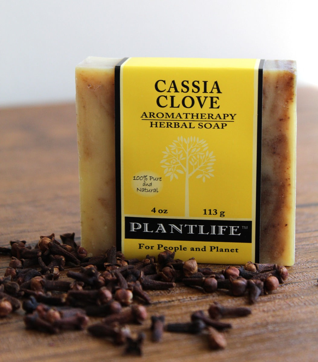 Cassia Clove Plant Based Bar Soap