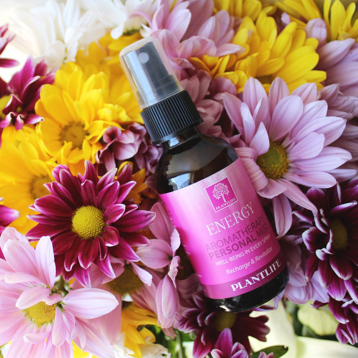 Close-up of Plantlife Energy Essential Oil Mist with natural lighting and greenery