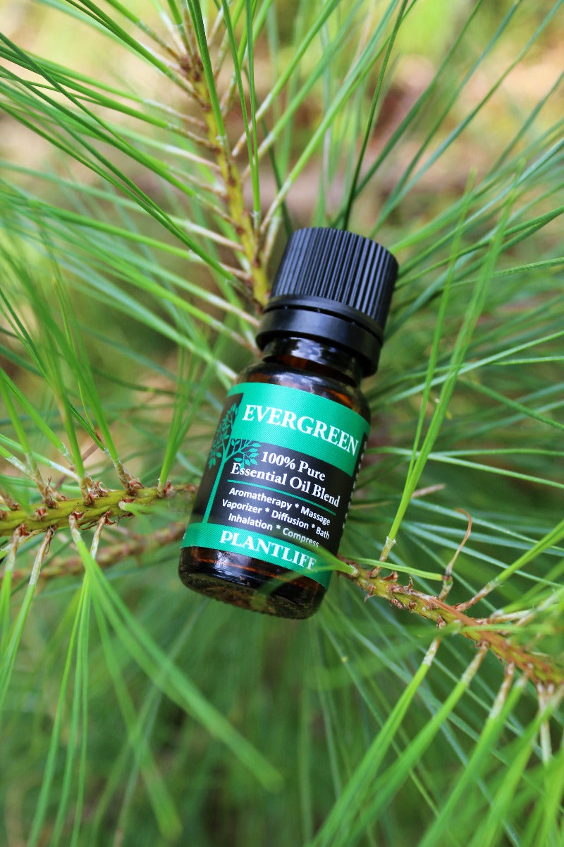 Evergreen Essential Oil Blend – 10ml Bottle Showing Ingredients