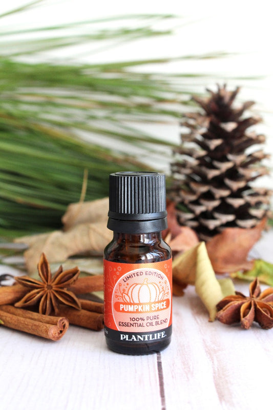 Pumpkin Spice Essential Oil Blend Back Label – Warm Fall Scent Info Panel