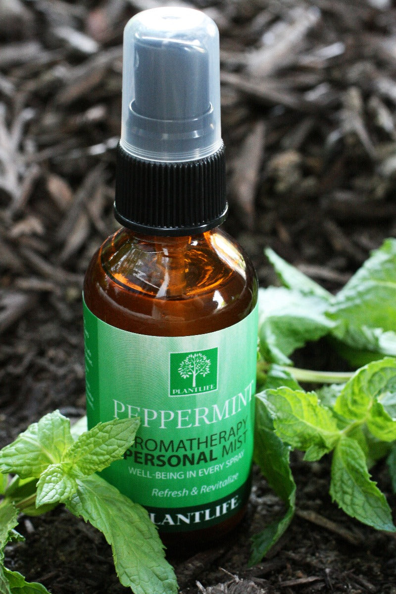 Peppermint Essential Oil Mist by Plantlife on desk with holiday décor for seasonal use