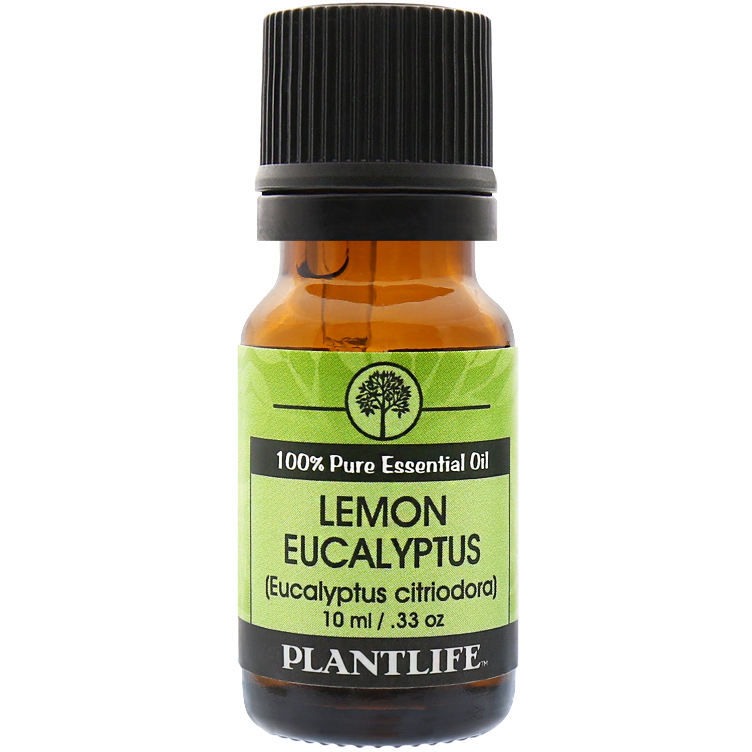 Lemon Eucalyptus, Lemon Eucalyptus essential oil, organic Lemon Eucalyptus  oil