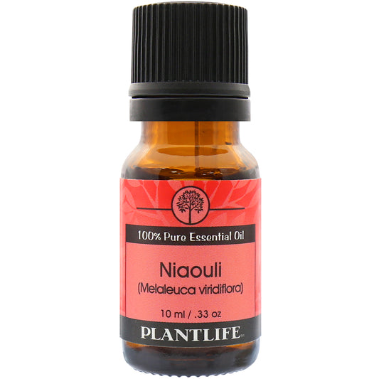 Plantlife Niaouli Essential Oil bottle with fresh, camphor scent