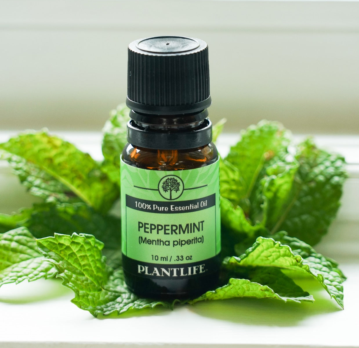 Plantlife Peppermint Essential Oil bottle with crisp and minty freshness