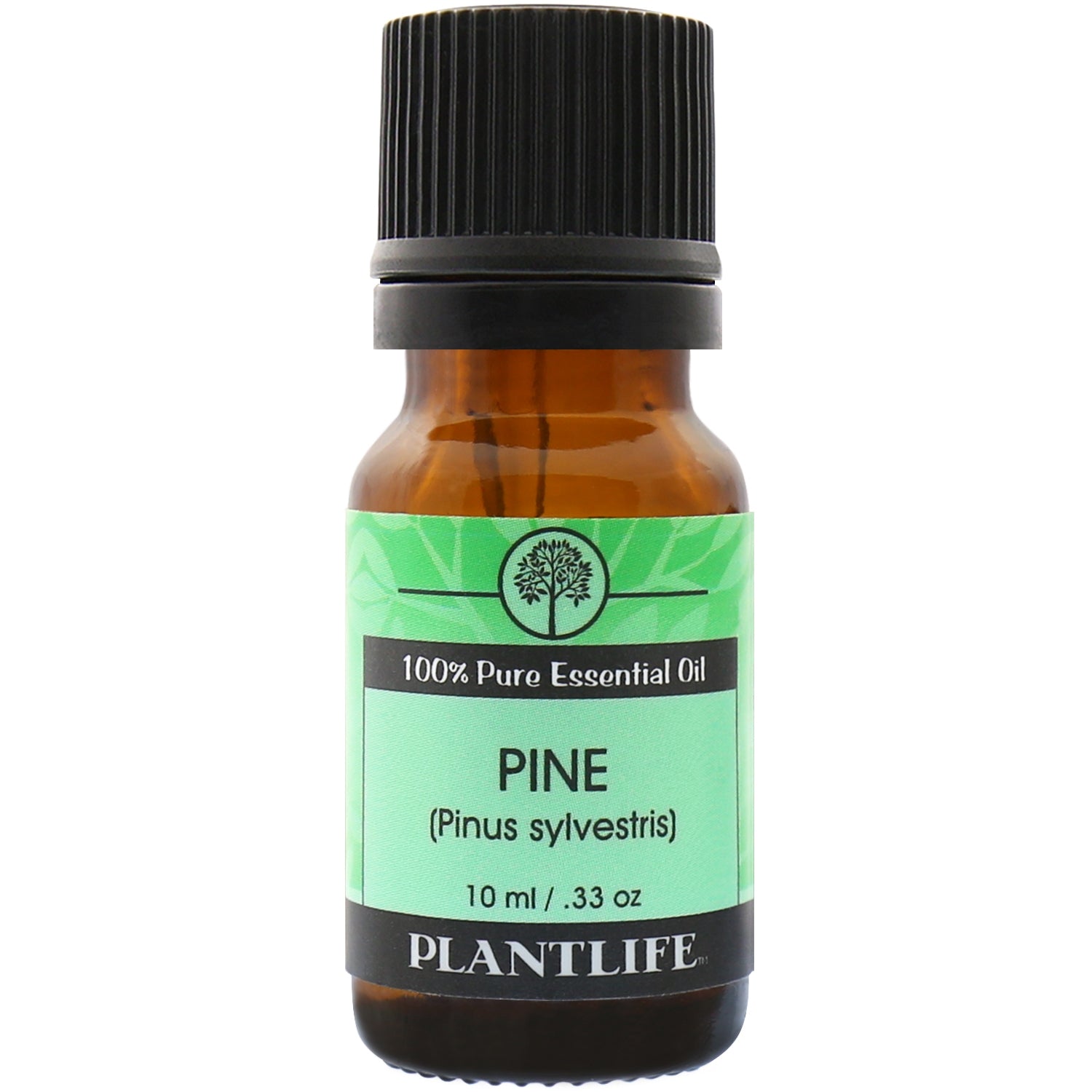 Plantlife Pine Essential Oil bottle with crisp, woody scent