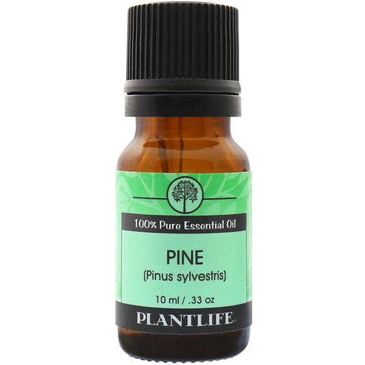 Plantlife Pine Essential Oil bottle with crisp, woody scent