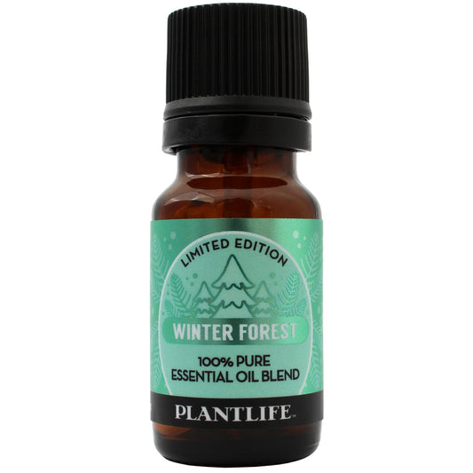 Winter Forest Essential Oil Blend – Crisp Evergreen Scent for Winter Vibes