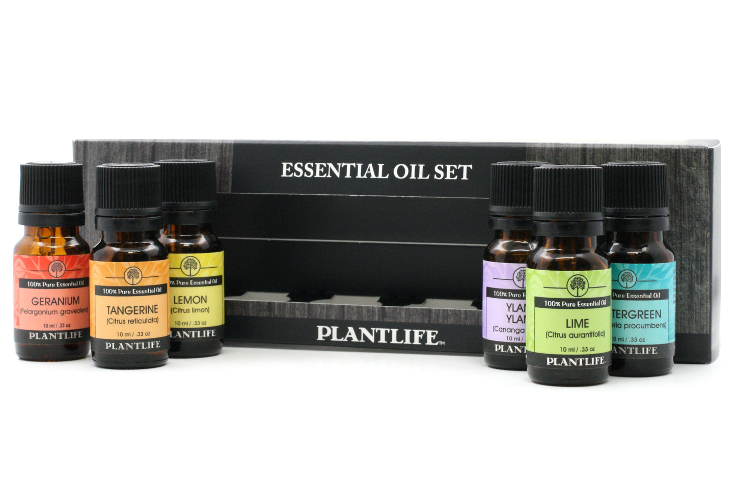 Plantlife Essential Oil 6-Pack with geranium, tangerine, lemon, ylang ylang, lime, and wintergreen oils in front of black gift box