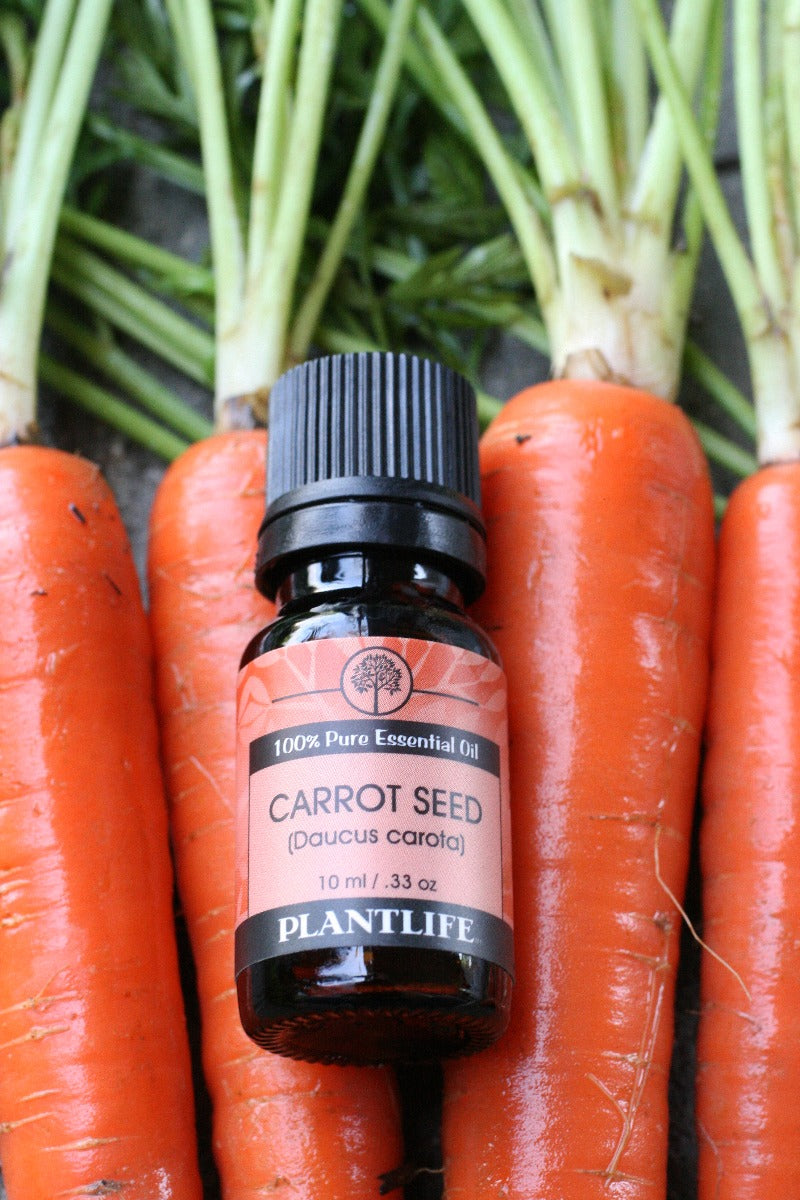 Plantlife Carrot Seed Essential Oil bottle with skincare use visual