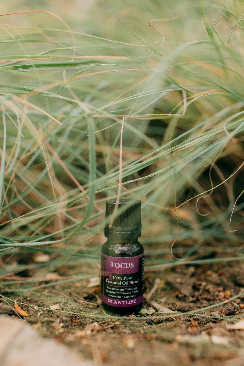 Focus Essential Oil Blend – 10ml Bottle Label View