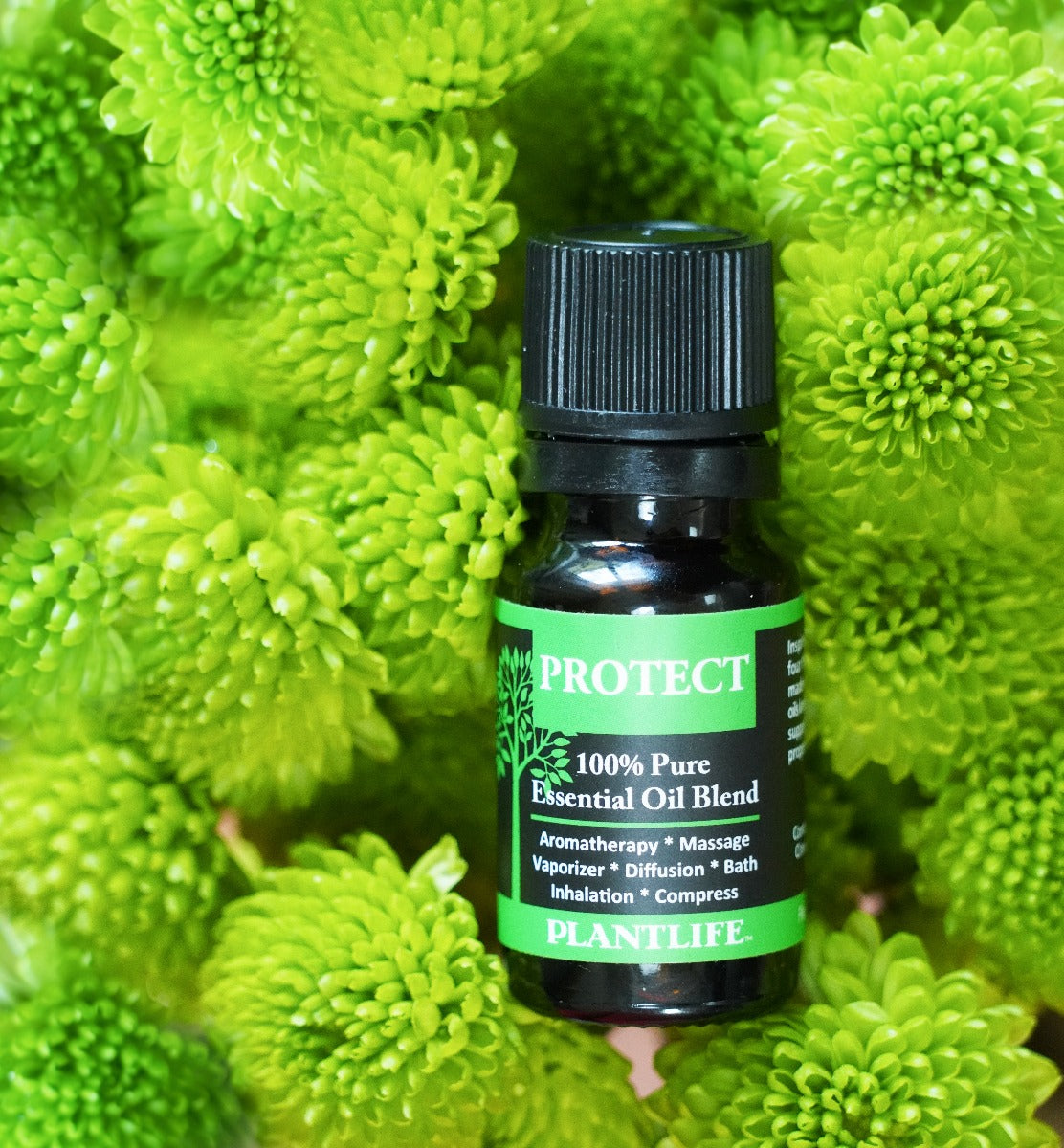Protect Essential Oil Blend – 10ml Bottle with Label Close-Up