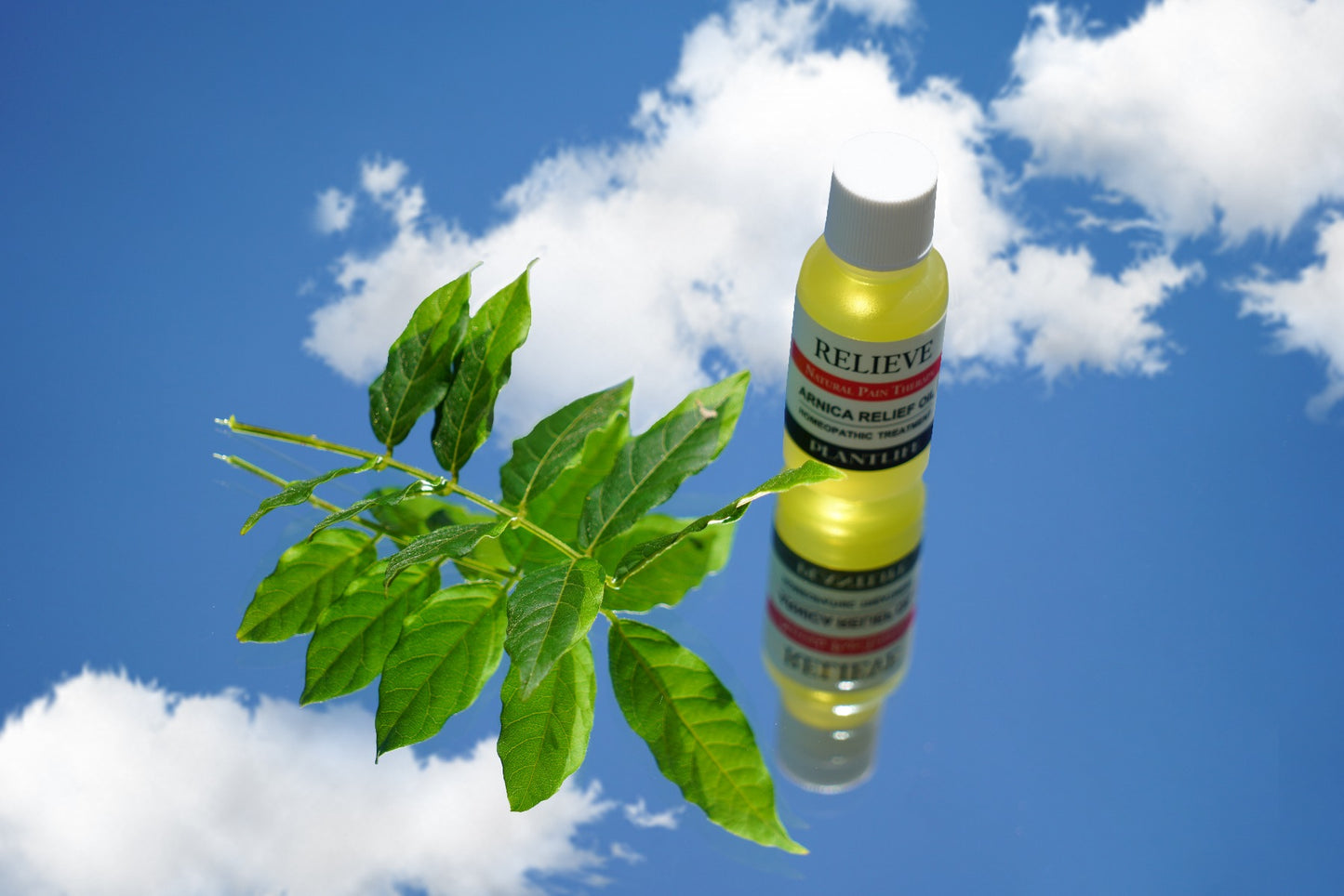 Plantlife Arnica Relief Oil bottle reflected against a sky with clouds and green leaves, highlighting its natural botanical ingredients and soothing pain relief benefits.