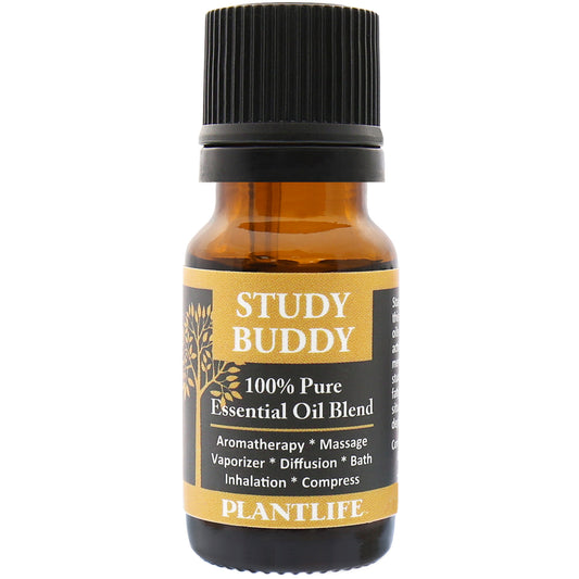 Study Buddy Essential Oil Blend – Focus-Enhancing Blend for Productivity
