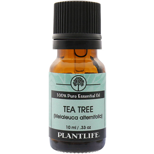 Plantlife Tea Tree Essential Oil bottle with fresh, medicinal scent