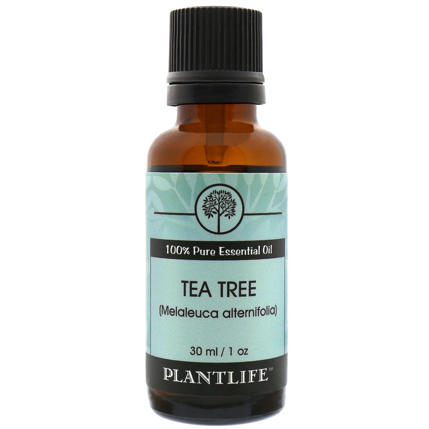 Plantlife Tea Tree Essential Oil bottle with fresh, medicinal aroma