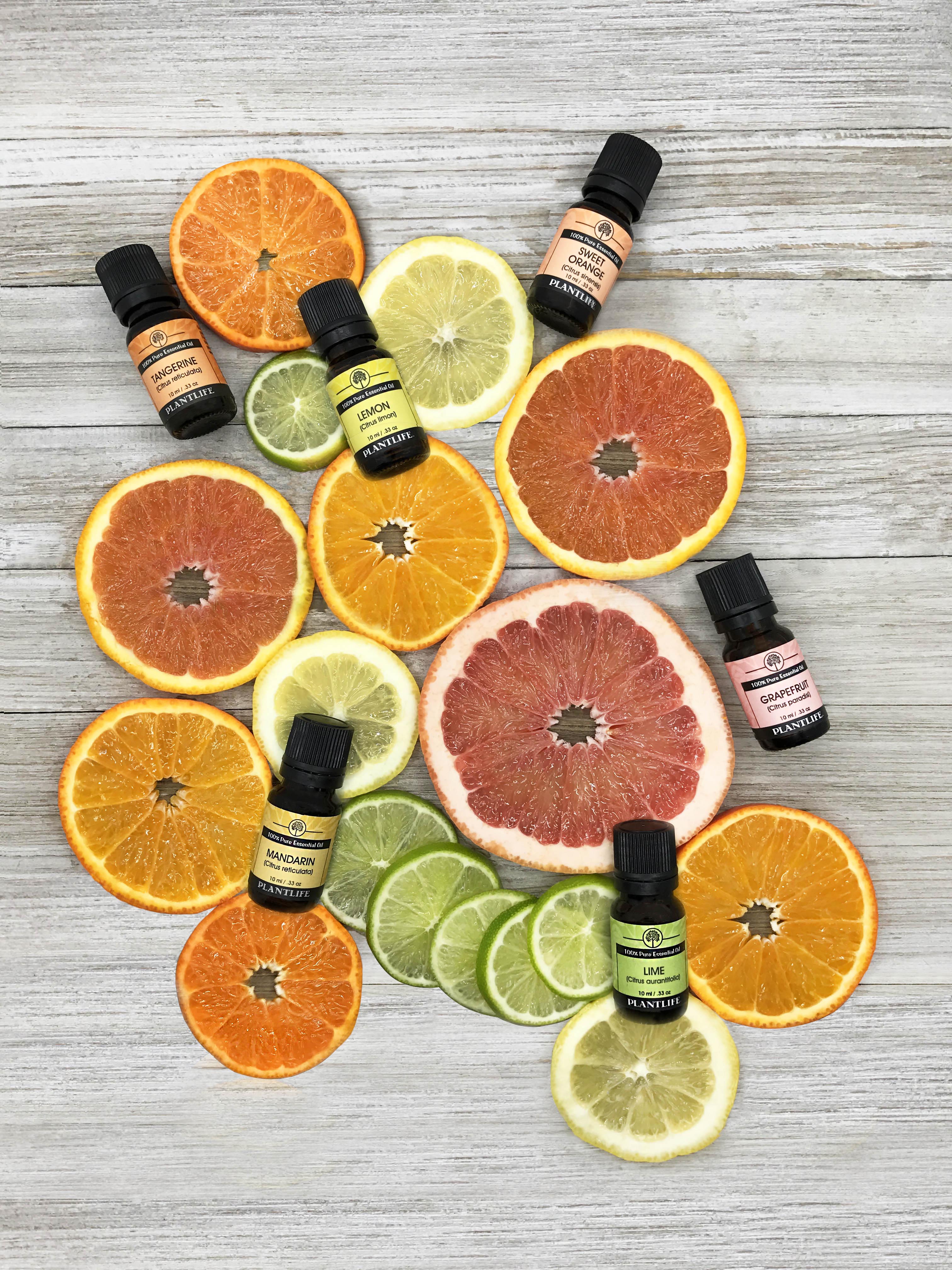 Top Citrus Oils To Try In 2019!
