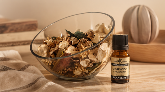 How to Make Fall Potpourri That Actually Smells Like Fall