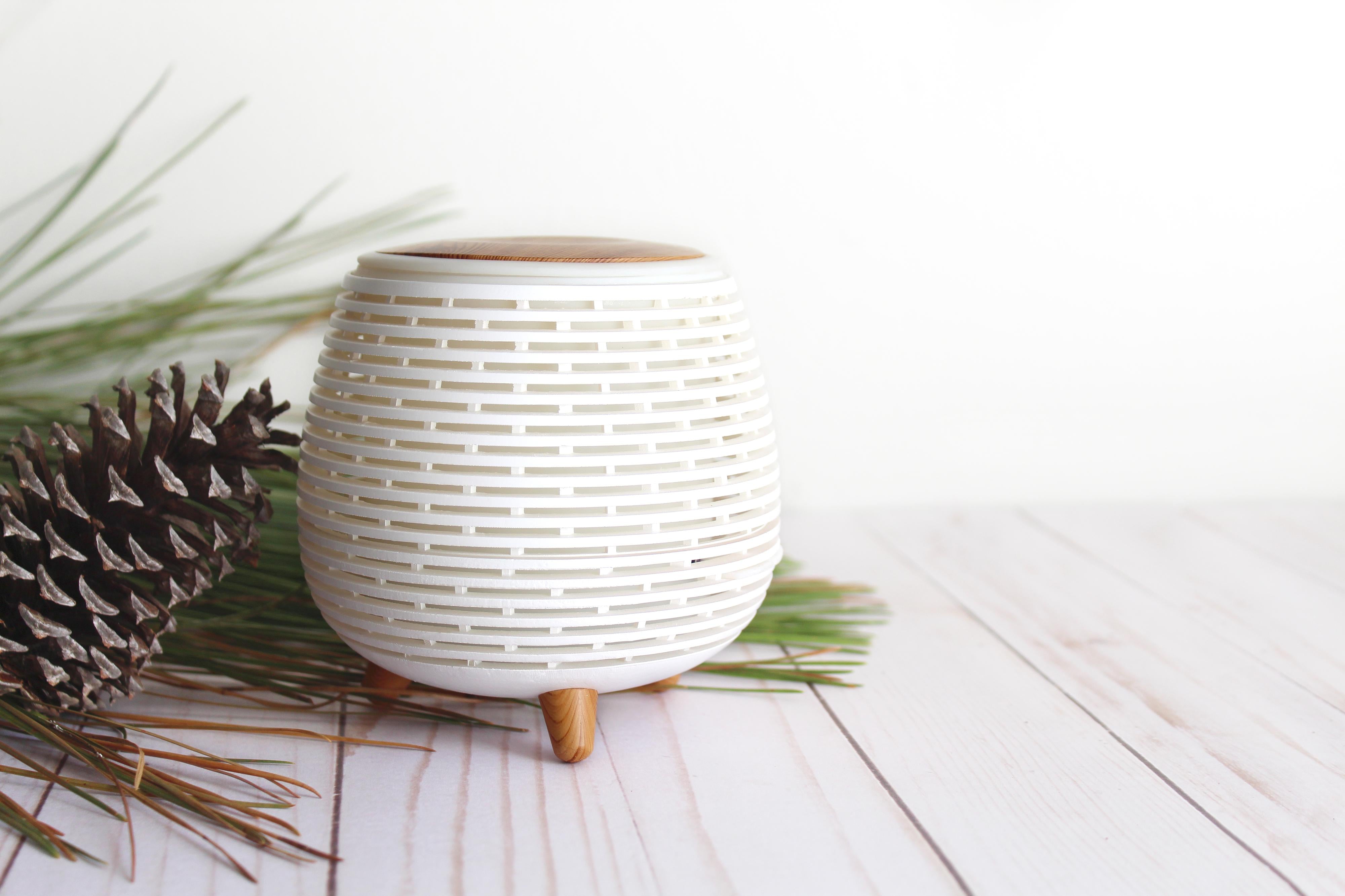 Meet Our New Diffusers! – Plantlife