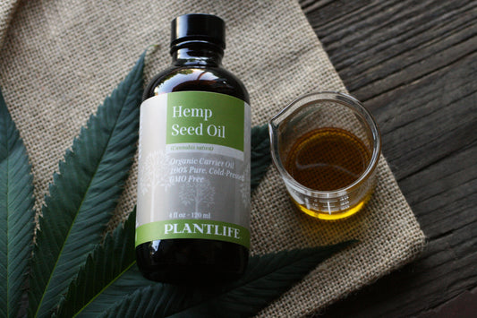 The Truth About Hemp Seed Oil