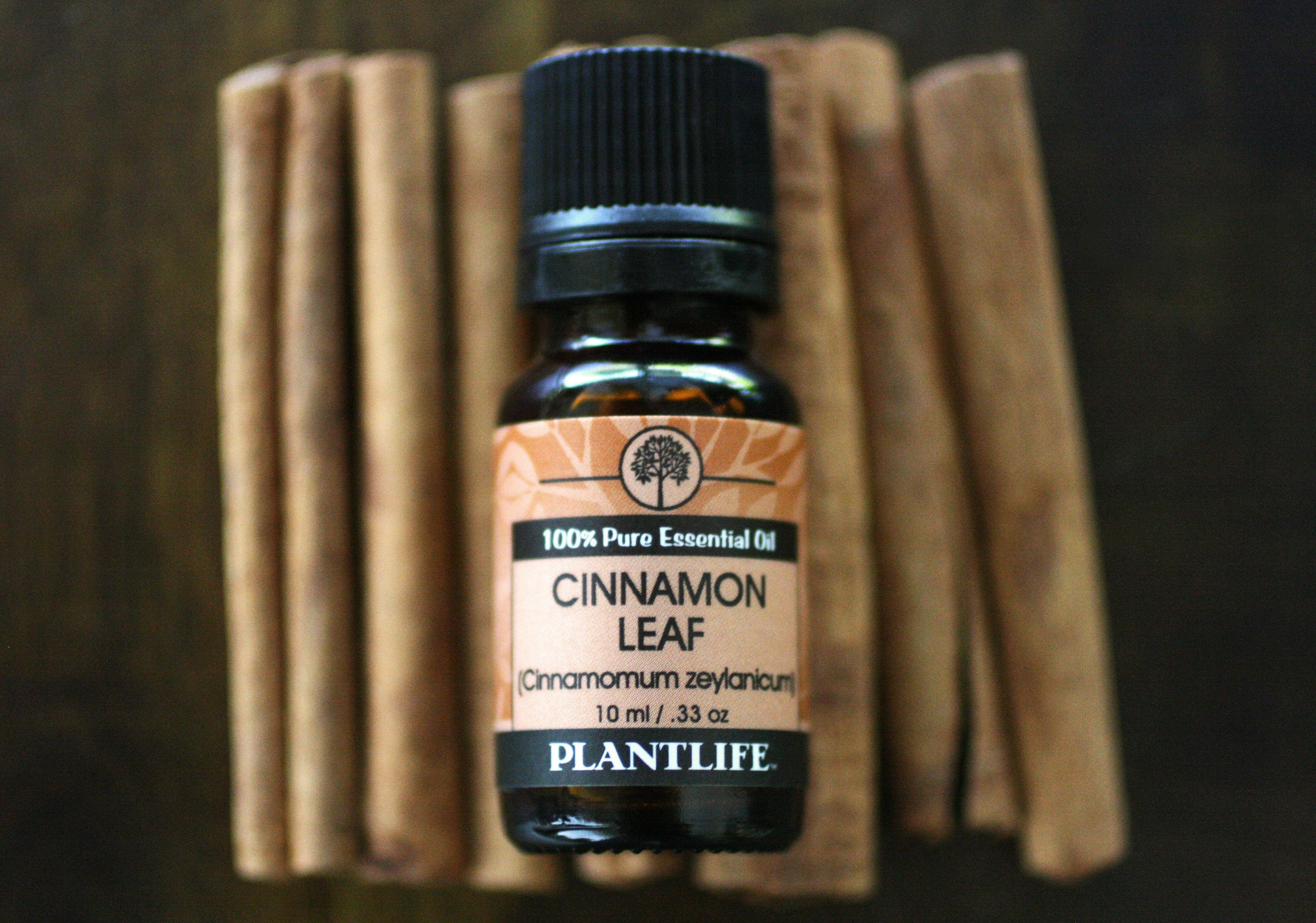 Product Spotlight: Cinnamon Leaf Essential Oil