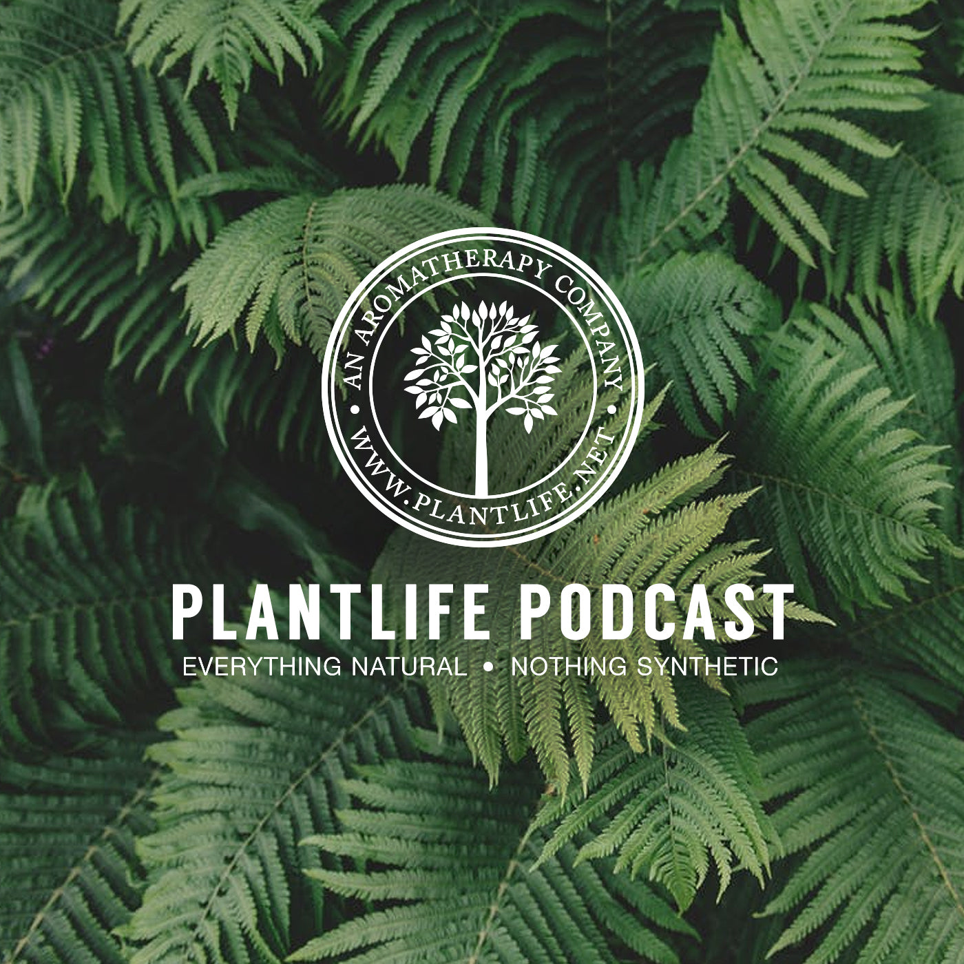 Podcast #2: About Plantlife