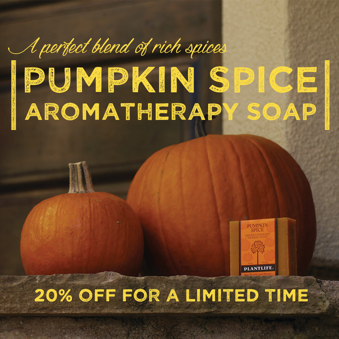 20% Off Pumpkin Spice Soap This Week Only!