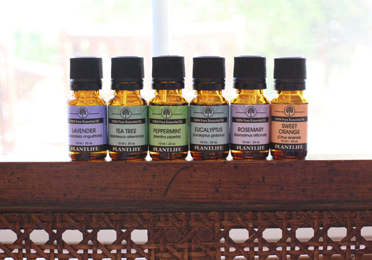 Best Essential Oils for Relaxation: A Guide to Winding Down