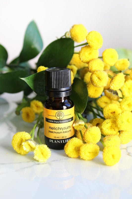 Plantlife Helichrysum Essential Oil bottle surrounded by yellow flowers and green leaves.