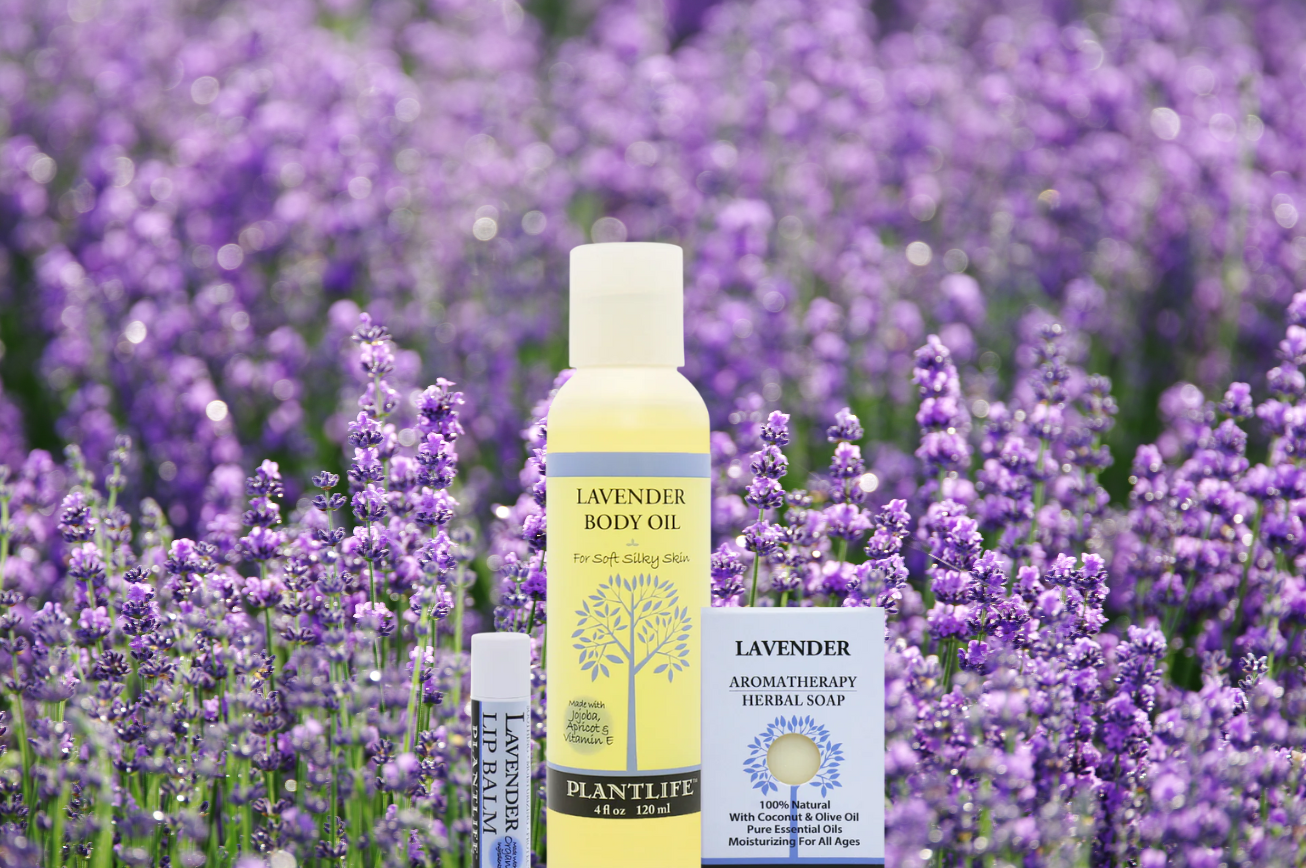 Lavender: The Soothing Wonder in Our After Sun Kit