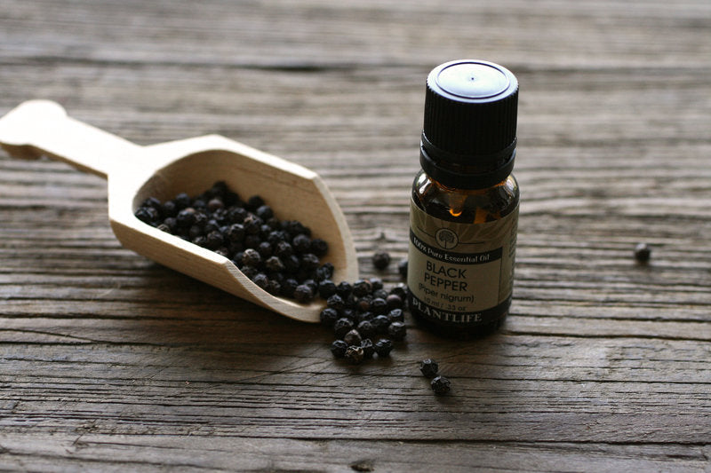 What Is Black Pepper Essential Oil?