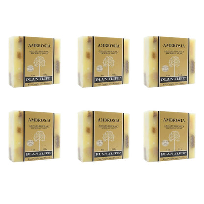 Six bars of Plantlife Ambrosia soap arranged in two rows on a white background.