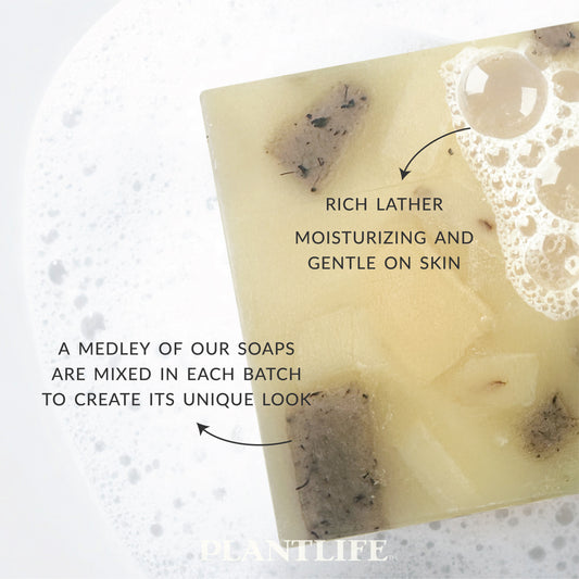 Close-up of a square bar of Plantlife soap resting in bubbly water, showing creamy yellow and brown tones with visible chunks.