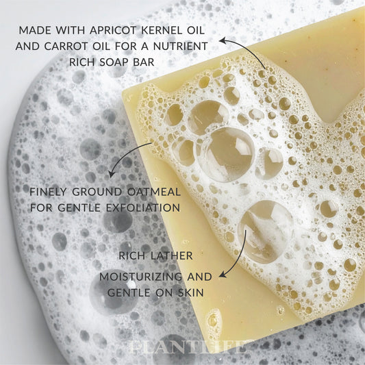 Close-up of a Plantlife soap bar resting in bubbly water, covered with rich foam. Text on the image highlights: “Made with apricot kernel oil and carrot oil for a nutrient-rich soap bar,” “Finely ground oatmeal for gentle exfoliation,” and “Rich lather, moisturizing and gentle on skin.”