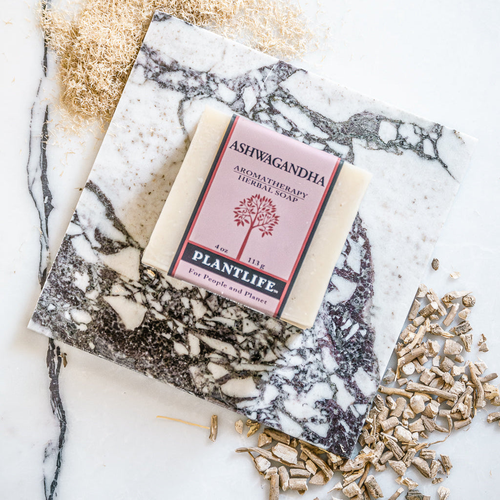 A rectangular bar of soap labeled 'ASHWAGANDHA' and 'PLANTLIFE' sits on a white marble slab, styled with dried botanicals on a white marble surface.