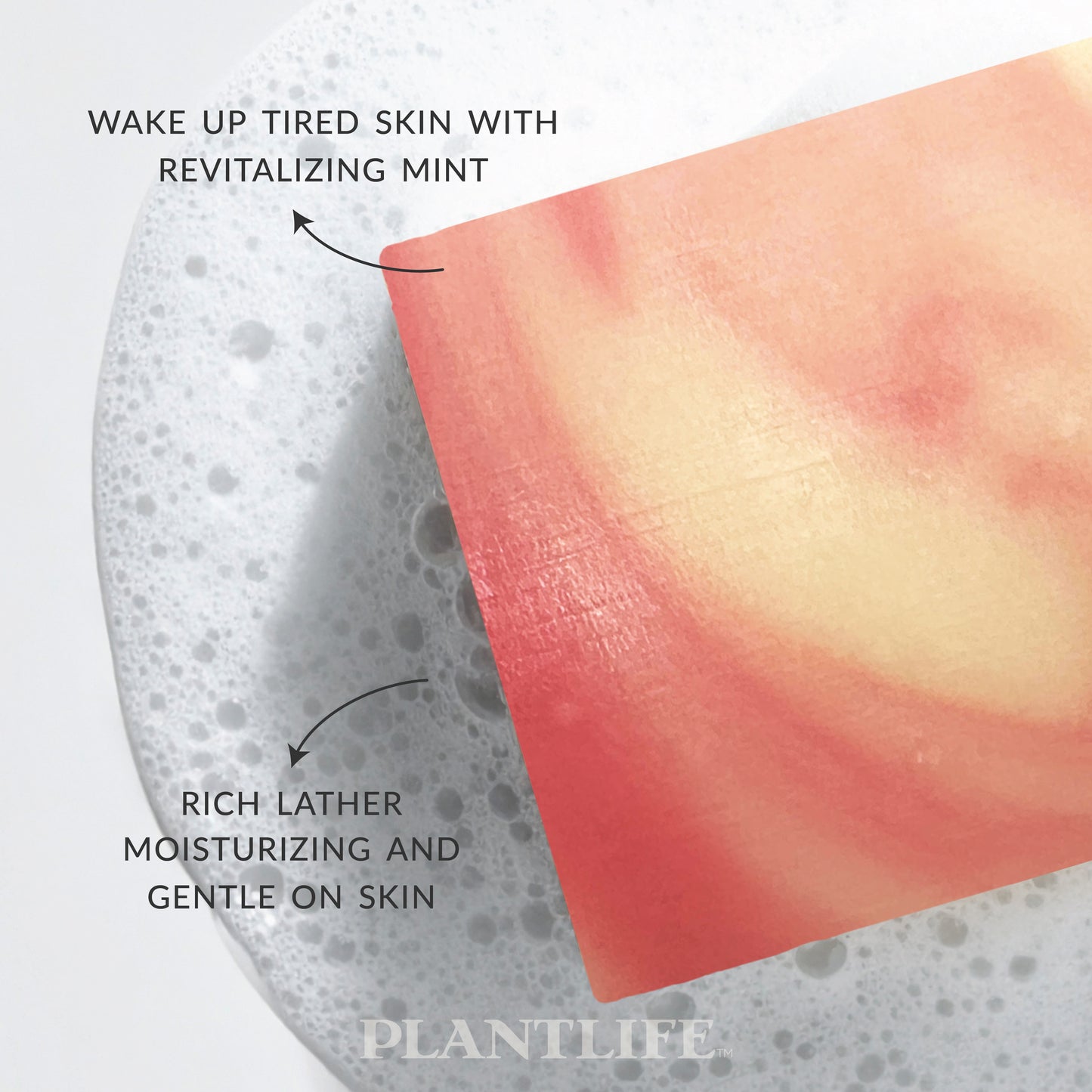 Close-up of a pink and cream Plantlife soap bar resting in bubbly water. Text on the image highlights “Wake up tired skin with revitalizing mint” and “Rich lather, moisturizing and gentle on skin.”