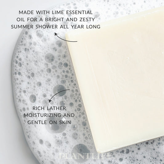Close-up of a creamy white Plantlife Coconut Lime Soap bar resting in foamy water. Text on the image highlights “Made with lime essential oil for a bright and zesty summer shower all year long” and “Rich lather, moisturizing and gentle on skin.” Refreshing tropical soap handcrafted with coconut and lime oils for smooth, hydrated skin.