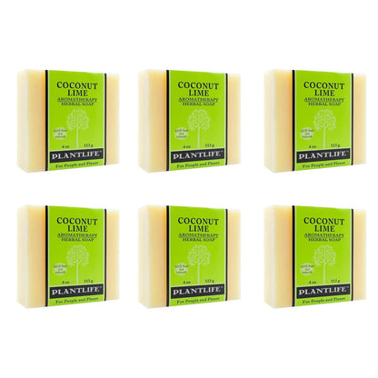 Coconut Lime Plant Based Bar Soap 6 Pack