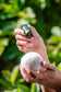 Hand holding a small bottle of essential oil and a white ball against a green leafy background