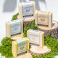 Collection of Plantlife Loofah Love soap bars on a decorative stand with greenery.