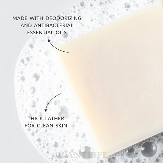 Close-up of a creamy white Plantlife soap bar resting in bubbly water. Text on the image highlights “Made with deodorizing and antibacterial essential oils” and “Thick lather for clean skin.” Natural aromatherapy soap handcrafted by Plantlife to cleanse and refresh the skin.