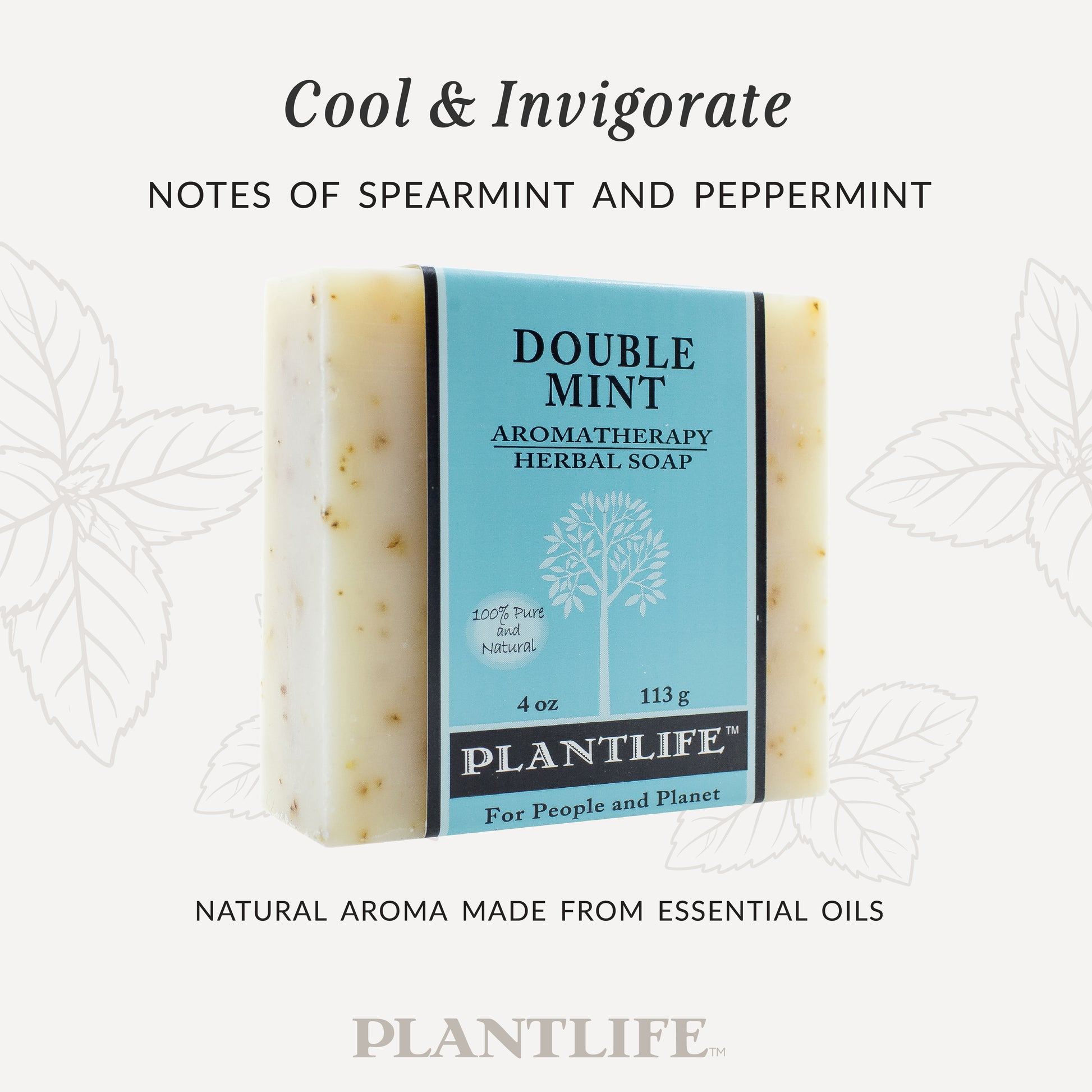Plantlife Double Mint Aromatherapy Herbal Soap in light blue packaging with a natural beige bar. Text reads “Cool & Invigorate – Notes of spearmint and peppermint” and “Natural aroma made from essential oils.” Refreshing mint soap handcrafted with pure essential oils for clean, energized, and revitalized skin.