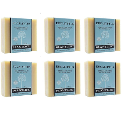 Six bars of Plantlife Eucalyptus soap on a white background