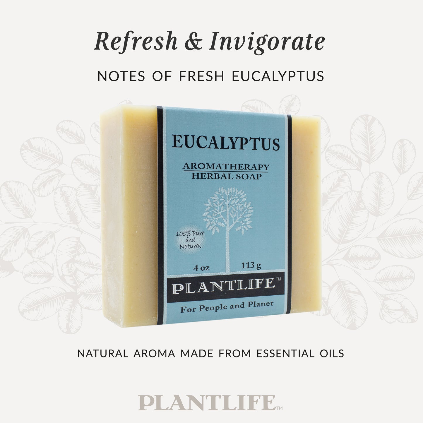 Plantlife Eucalyptus Aromatherapy Herbal Soap in blue packaging with a natural beige bar. Text reads “Refresh & Invigorate – Notes of fresh eucalyptus” and “Natural aroma made from essential oils.” Handcrafted soap made with pure eucalyptus essential oil for a cooling, refreshing clean.