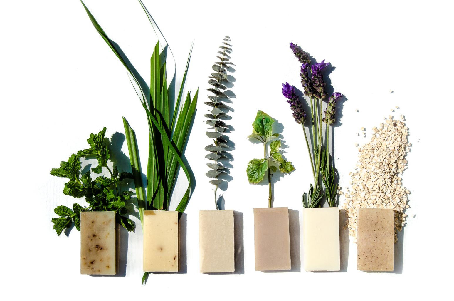 Plantlife herbal bar soaps with fresh botanicals including mint, lemongrass, eucalyptus, patchouli, lavender, and oatmeal ingredients.