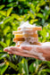 Plantlife natural bar soap lathering in hand with rich foam, plant-based ingredients, and fresh botanical skincare inspiration.