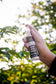 Plantlife Herbal Insect Body Spray 4 fl oz held outdoors with greenery, featuring a DEET-free plant-derived formula for daily use