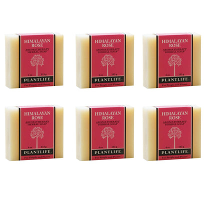 Six bars of Plantlife Himalayan Rose soap on a white background