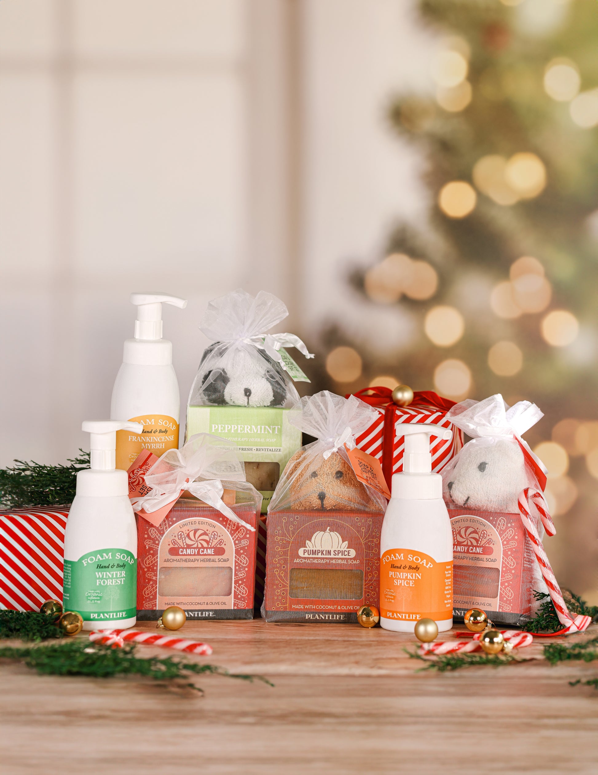 ChatGPT said:

Plantlife Holiday Gift Collection – Festive Soaps and Foam Soaps in Scents like Pumpkin Spice, Peppermint, Winter Forest, and Candy Cane with Holiday Scrubbies and Gift Wrap