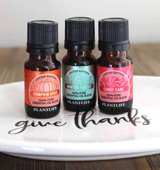 Three essential oil bottles labeled 'Pumpkin Spice', 'Winter Forest', and 'Candy Cane' on a white tray with 'give thanks' text.