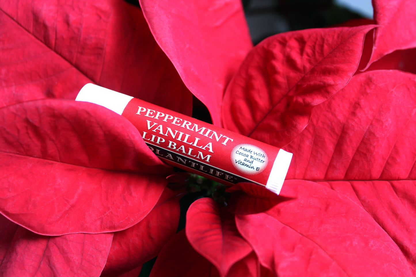 Peppermint Vanilla Lip Balm